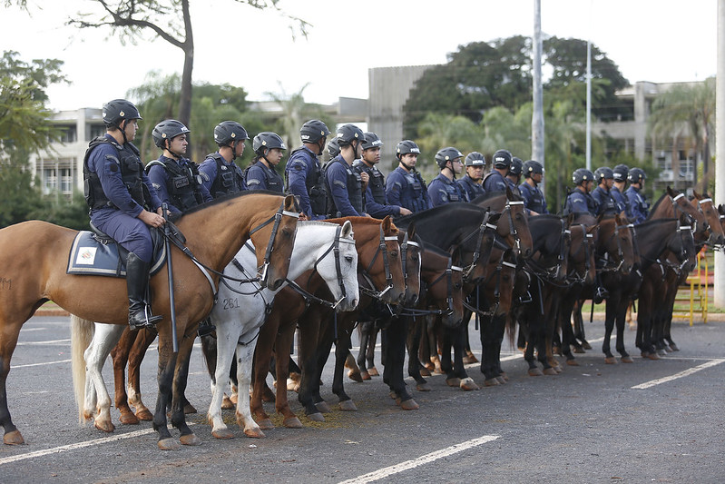 Segurança Conheça A Cavalaria Da Polícia Militar Do Df Alô Brasília 9873
