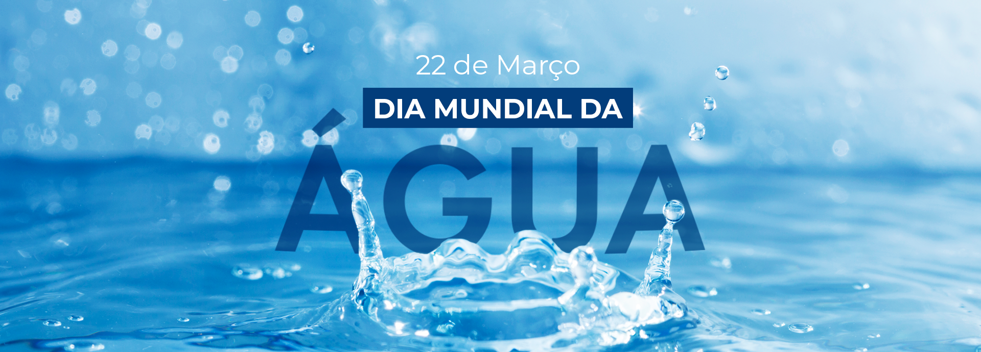 Dia Mundial Da Água Alô Brasília 1312